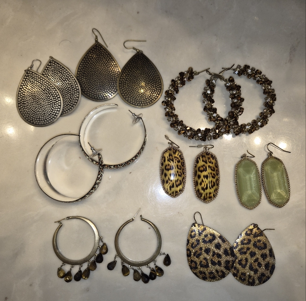 Leopard Print and Gold Hoop Earrings Set